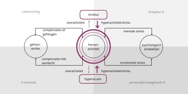 tinnitus hyperacusis behandeling leeuwarden